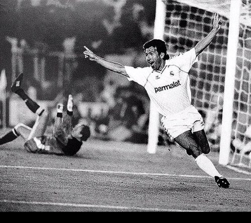 Pavonidas's profile picture. 