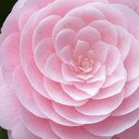 Holly Pennington - @hollyp1117 - Twitter