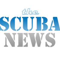 The Scuba News (@thescubanews) 's Twitter Profile