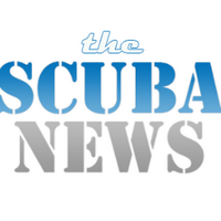 The Scuba News(@TheScubaNews) 's Twitter Profile Photo