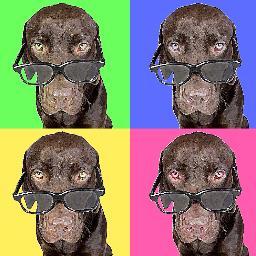 Ivan_ViBu's profile picture. 