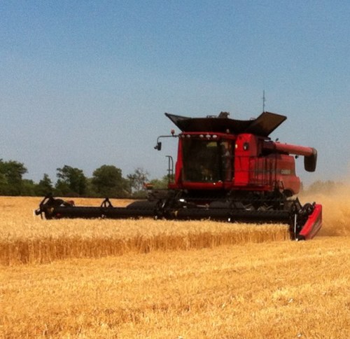 Husband, father, sports fan, Farm equipment sales for Hub International Eq.ltd, life time farmer, always looking for a better way to feed the world!