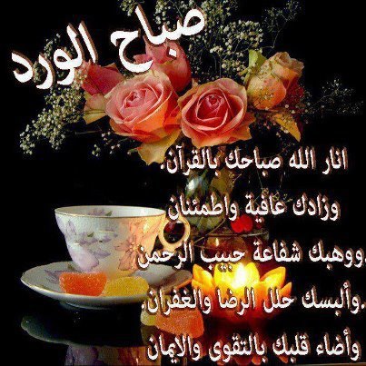 fatma52882163's profile picture. 