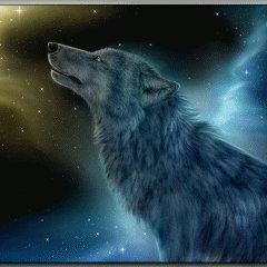 Krezzcat's profile picture. 