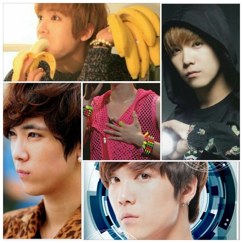 ★94line★FT/B1A4/B.A.P/TVXQ/SNSD★ ★primadonna3年目★