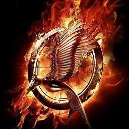 Twitter for a news and fun page about the Hunger Games