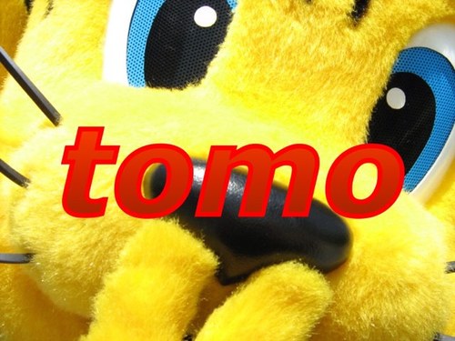特技は早寝早起き！阪神タイガースファン歴25年の40男。スイーツ部3班