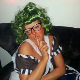 Limerick hurling fanatic