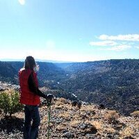 Trish Cuckler (@cucklert) 's Twitter Profile