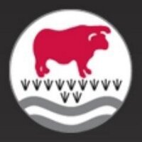 The Bulmershe School(@TheBulmersheSch) 's Twitter Profile Photo