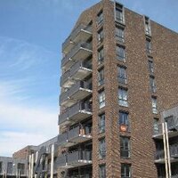 Ackershof (@ackershof) 's Twitter Profile