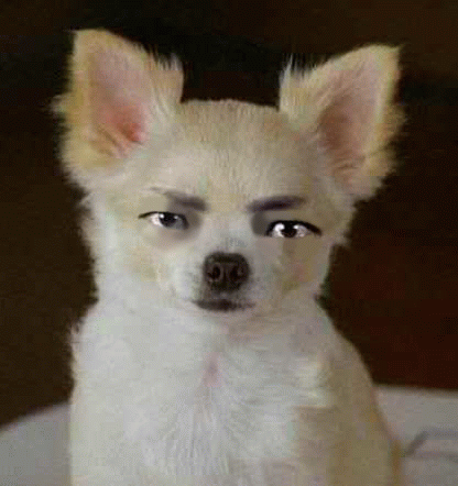 狼犬さんたちの会議or個通ツイートをめざとく見つけてつぶやきます。ツイート元は主に狼犬さん。１時間ごとにﾗﾝﾀﾞﾑでつぶやきます。
自動ﾌｫﾛﾊﾞのはず。
中の人( @____vanilla )