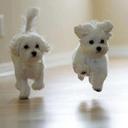 pelin çınar - @NarSdbhydj - Twitter