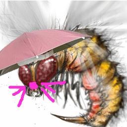 TrackerJackin's profile picture. 