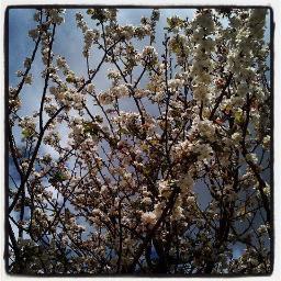 Ladydragonfly76's profile picture. 