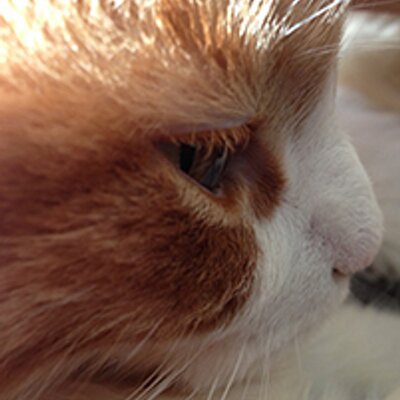 如月ゆすら Yusura K Twitter 如月ゆすら Yusura K Twitter