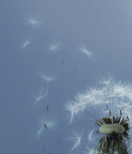 TimeForAir's profile picture. It's Time for Air - air pollution kills more than AIDS & malaria combined. Raising awareness on air pollution - and what we can do about it