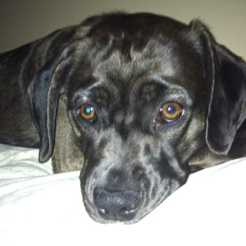 LisaEnloe's profile picture. 