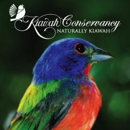 Identify, preserve and manage critical habitat needed to maintain a healthy, balanced and diverse population of native flora and fauna on Kiawah Island, SC.