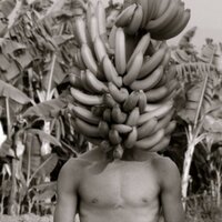gonzalo fuenmayor (@gfuenma) 's Twitter Profile Photo gonzalo fuenmayor (@gfuenma) 's Twitter Profile Photo