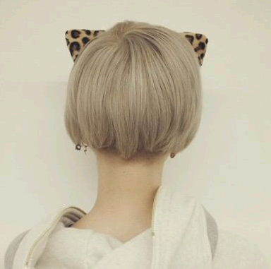 sdtc57's profile picture. 専門１年('94) DISH//･TAKUMI寄りの箱推し!時々超特急/若手俳優/菅田将暉/ボカロ/歌い手･踊り手/ギルティー†ハーツ･Ry☆/でんぱ組.inc･最上もがetc... 共通点ある方かもーんヽ(´ー｀)ノ ※ジャニ別垢有(関ジュ)