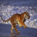 Jody Mcdowell - @JodyMcdowell20 - Twitter