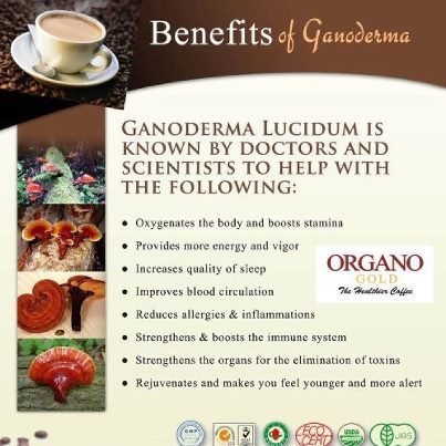 OrganoCoffee4U's profile picture. Where Healthy Coffee Meets You Half Way