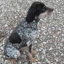 david lefort - @lefortdv - Twitter