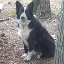 Tammy Switzer - @SwitzerTc - Twitter