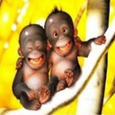 Tracie Hoffman - @TracieHoffman9 - Twitter