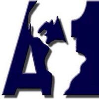 A1 Cargo Peru (@a1cargoperu) 's Twitter Profile