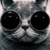 Pabucumun Starı (@pabucumunstari) Twitter profile photo