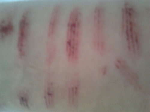 A falta de cojones, twitteo.