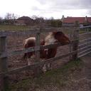 Abby Benton - @AbbyBenton01 - Twitter