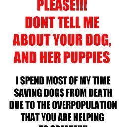 JodyAdvocates's profile picture. Advocating on behalf of the voiceless. Free spay & neuter is our answer to  shelter reform,  foster adopt ,rescue. Education = awareness