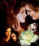 twilightfanxxxx's profile picture. Hey everyone im the biggest twilight fan ever i also love demi and miley i think robert pattinson is so cute and kristen stewart rocks i will follow everyone