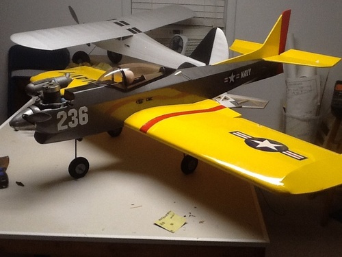 Planes, Trains, and automobiles. I have lots of hobbies!