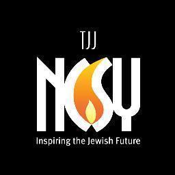 The Jerusalem Journey (TJJ) is the most affordable and greatest Israel trip for Jewish public school students.