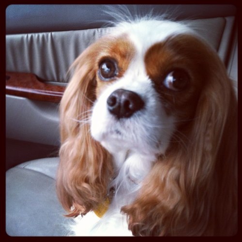 AKBurling's profile picture. 