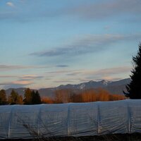 One Love Farm (@onelovefarm) 's Twitter Profile