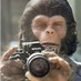 Stephen Carr (@carrphotos) Twitter profile photo Stephen Carr (@carrphotos) Twitter profile photo