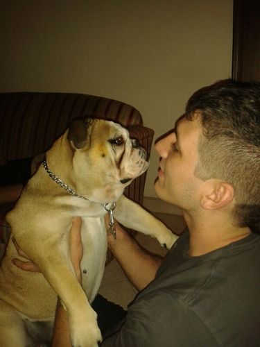 fitnssgourmt's profile picture. amante del fitness,cocinero por vocación y entrega, apasionado ala fotografia y licenciado en nutricion.