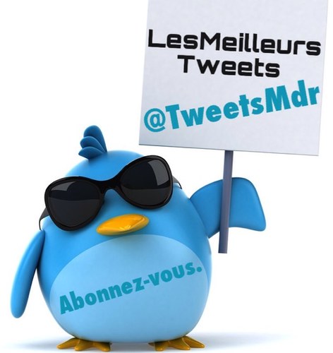 TweetsMdr's profile picture. Meilleurs tweets mdr ou mechant a vous de voir...