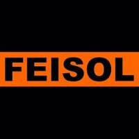 FEISOL DEUTSCHLAND (@feisol_de) 's Twitter Profile