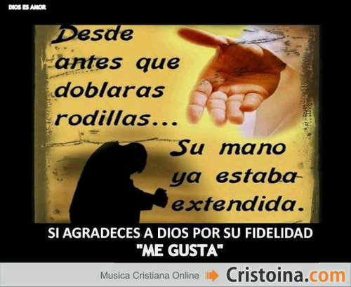 MateoGeral's profile picture. soy morenito megusta el color amarillo maranja azul y verde