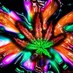 Weed Problems (@928ahfiuad9u8dd) Twitter profile photo Weed Problems (@928ahfiuad9u8dd) Twitter profile photo