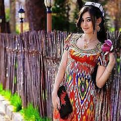 follow back. Here You can find lots of funny things and interesting facts about Your Bukhara!