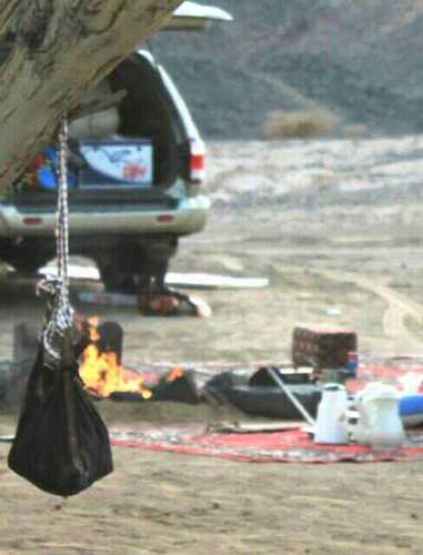 aasfrd22's profile picture. 