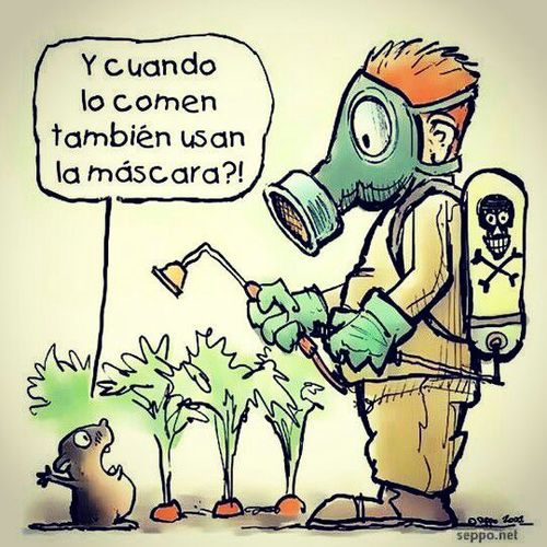 Geodaniella's profile picture. Zurda nací y caminare siempre a la izquierda.