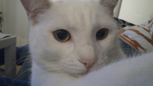 Faby_RuRa's profile picture. 